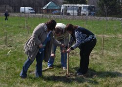 Загальноуніверситетські акції «Чисте довкілля» та «Посади дерево»